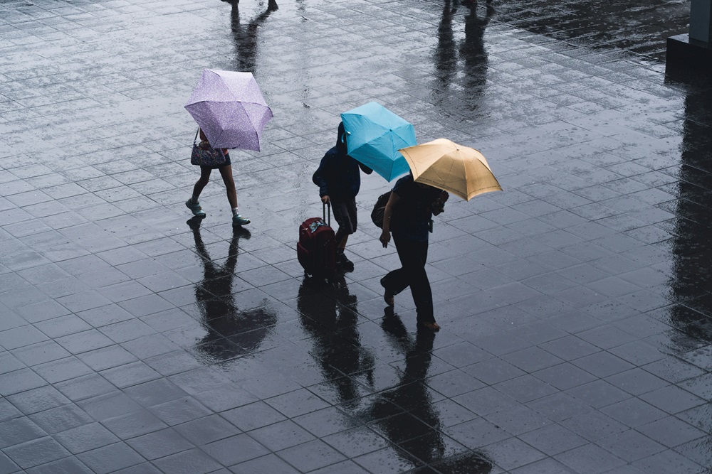 Rain